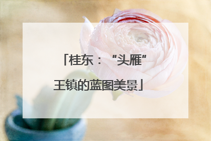 桂东：“头雁”王镇的蓝图美景