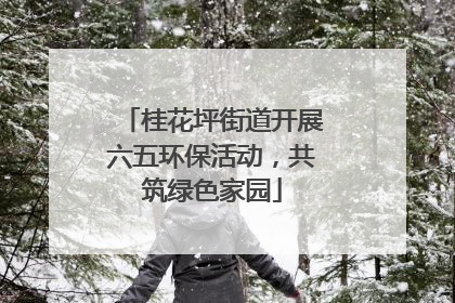 桂花坪街道开展六五环保活动，共筑绿色家园
