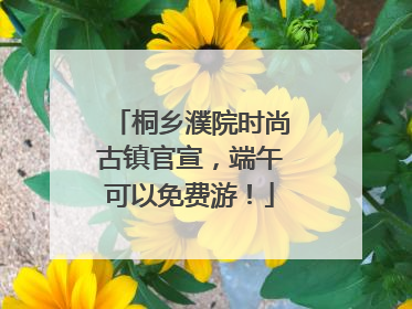 桐乡濮院时尚古镇官宣，端午可以免费游！