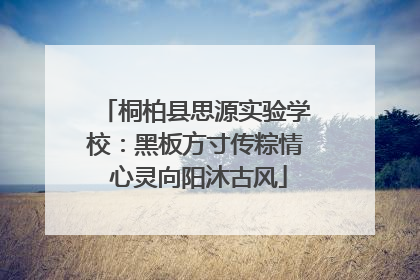 桐柏县思源实验学校：黑板方寸传粽情 心灵向阳沐古风