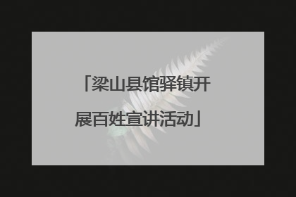 梁山县馆驿镇开展百姓宣讲活动