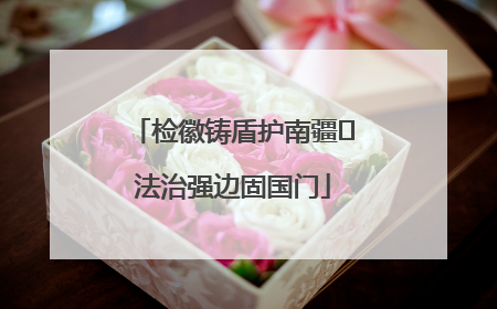 检徽铸盾护南疆 法治强边固国门