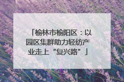 榆林市榆阳区：以园区集群助力轻纺产业走上“复兴路”