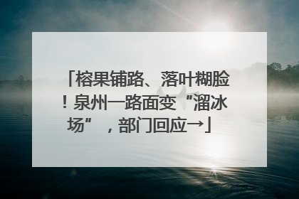 榕果铺路、落叶糊脸！泉州一路面变“溜冰场”，部门回应→
