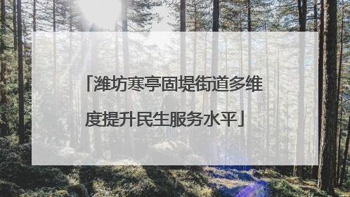 潍坊寒亭固堤街道多维度提升民生服务水平