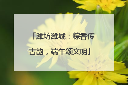 潍坊潍城：粽香传古韵，端午颂文明