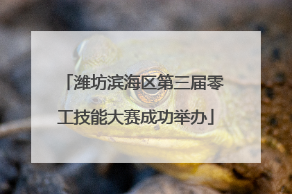 潍坊滨海区第三届零工技能大赛成功举办