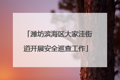 潍坊滨海区大家洼街道开展安全巡查工作