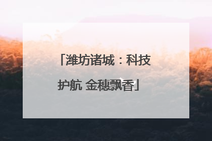 潍坊诸城：科技护航 金穗飘香