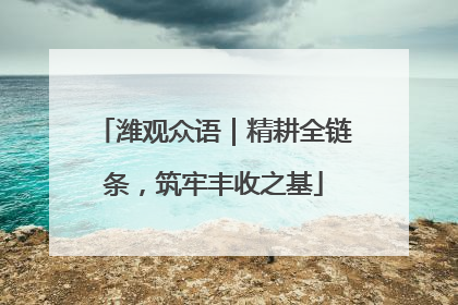 潍观众语｜精耕全链条，筑牢丰收之基