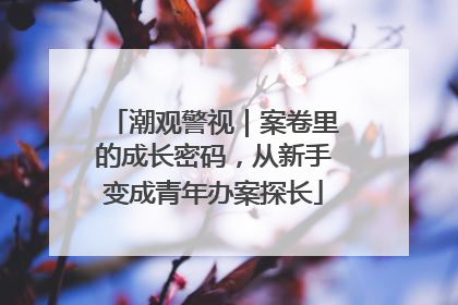 潮观警视｜案卷里的成长密码，从新手变成青年办案探长