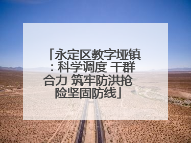 永定区教字垭镇：科学调度 干群合力 筑牢防洪抢险坚固防线