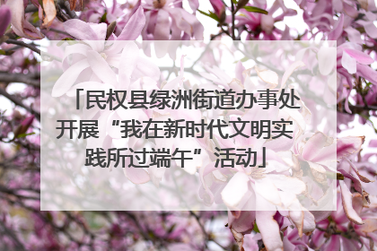 民权县绿洲街道办事处开展“我在新时代文明实践所过端午”活动