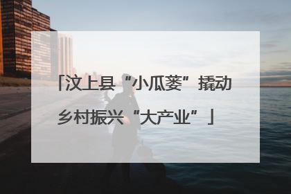 汶上县“小瓜蒌”撬动乡村振兴“大产业”