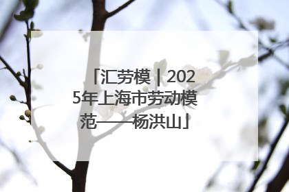 汇劳模｜2025年上海市劳动模范——杨洪山