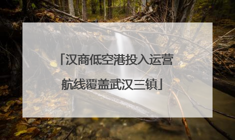 汉商低空港投入运营 航线覆盖武汉三镇
