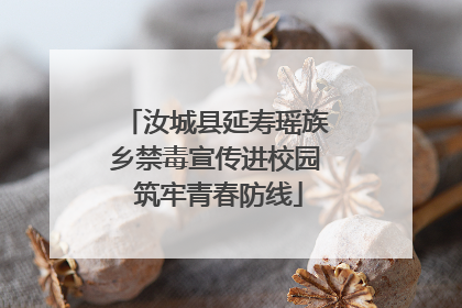 汝城县延寿瑶族乡禁毒宣传进校园 筑牢青春防线
