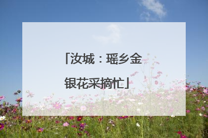 汝城：瑶乡金银花采摘忙