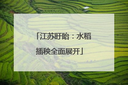 江苏盱眙：水稻插秧全面展开