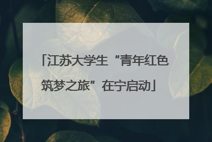 江苏大学生“青年红色筑梦之旅”在宁启动