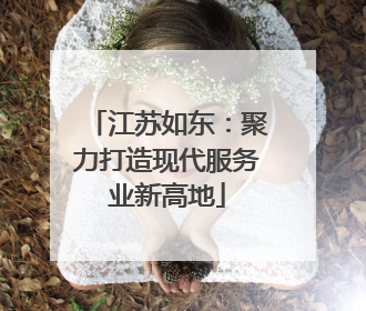 江苏如东：聚力打造现代服务业新高地