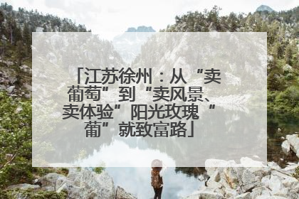 江苏徐州：从“卖葡萄”到“卖风景、卖体验”阳光玫瑰“葡”就致富路