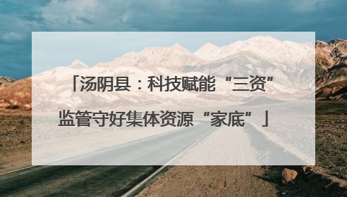 汤阴县：科技赋能“三资”监管守好集体资源“家底”