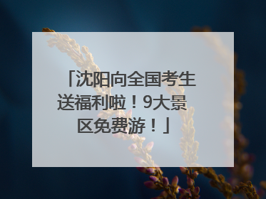 沈阳向全国考生送福利啦！9大景区免费游！