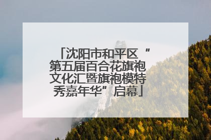 沈阳市和平区“第五届百合花旗袍文化汇暨旗袍模特秀嘉年华”启幕