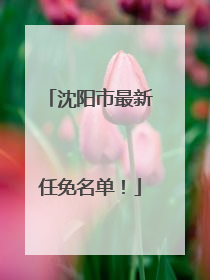 沈阳市最新任免名单！