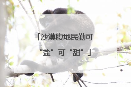 沙漠腹地民勤可“盐”可“甜”