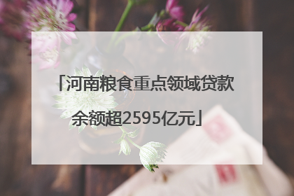 河南粮食重点领域贷款余额超2595亿元