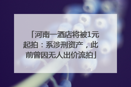 河南一酒店将被1元起拍：系涉刑资产，此前曾因无人出价流拍