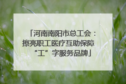 河南南阳市总工会：擦亮职工医疗互助保障“工”字服务品牌