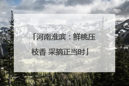 河南淮滨：鲜桃压枝香 采摘正当时