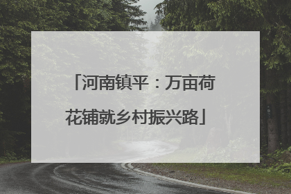 河南镇平：万亩荷花铺就乡村振兴路
