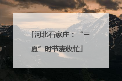 河北石家庄：“三夏”时节麦收忙