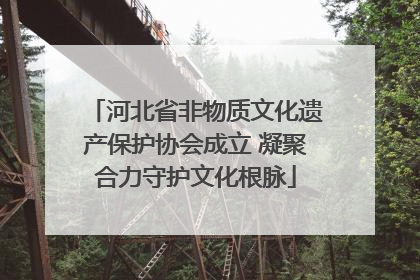 河北省非物质文化遗产保护协会成立 凝聚合力守护文化根脉