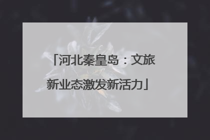 河北秦皇岛：文旅新业态激发新活力