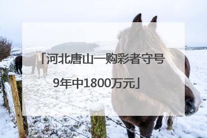 河北唐山一购彩者守号9年中1800万元