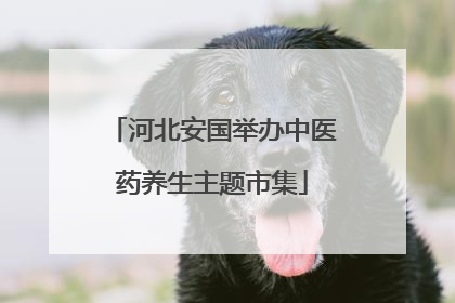 河北安国举办中医药养生主题市集