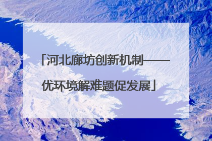 河北廊坊创新机制——优环境解难题促发展