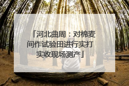 河北曲周：对棉麦间作试验田进行实打实收现场测产