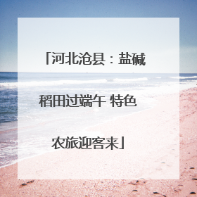 河北沧县：盐碱稻田过端午 特色农旅迎客来