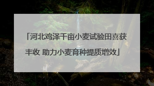 河北鸡泽千亩小麦试验田喜获丰收 助力小麦育种提质增效