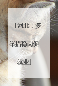 河北：多举措稳岗促就业