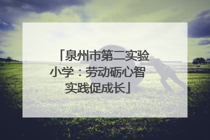 泉州市第二实验小学：劳动砺心智实践促成长
