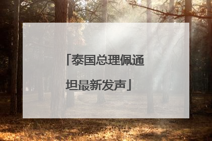 泰国总理佩通坦最新发声