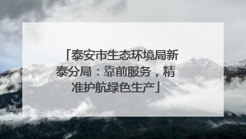 泰安市生态环境局新泰分局：靠前服务，精准护航绿色生产
