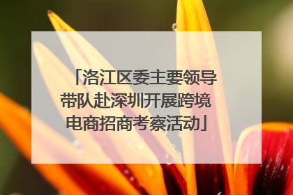 洛江区委主要领导带队赴深圳开展跨境电商招商考察活动
